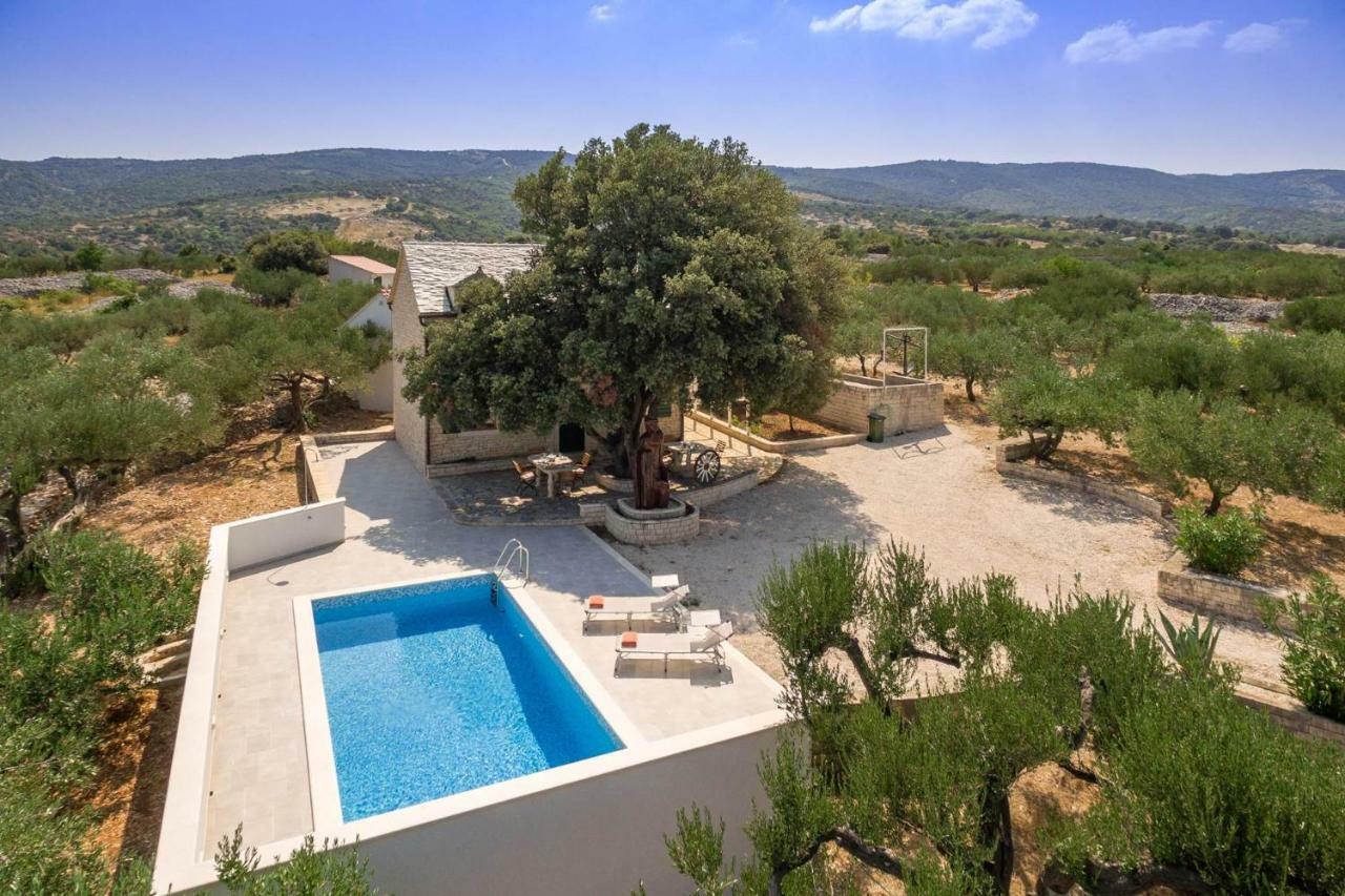 Villa Dubrava Tranquil Retreat Nestled In An Olive Grove For Serene Escapes Pucisca Exterior foto