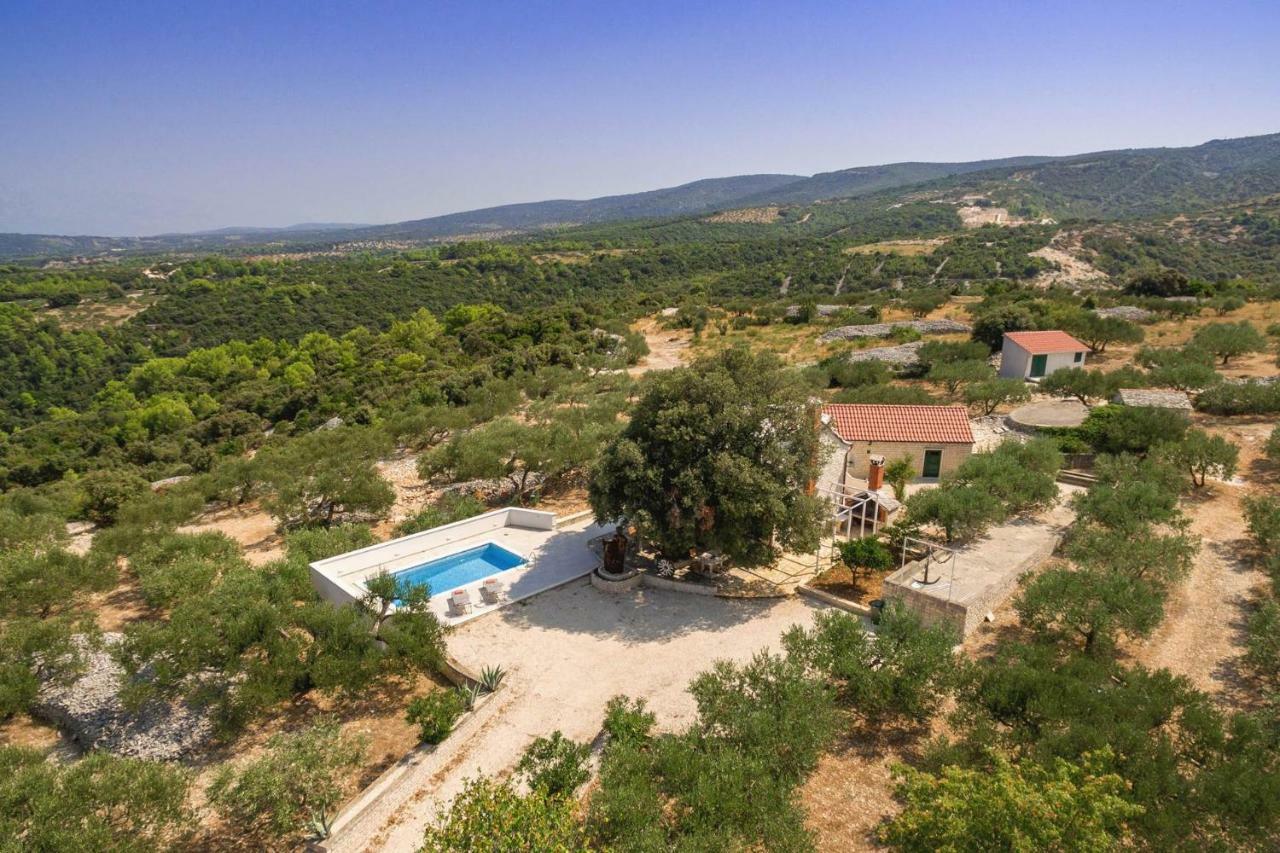 Villa Dubrava Tranquil Retreat Nestled In An Olive Grove For Serene Escapes Pucisca Exterior foto