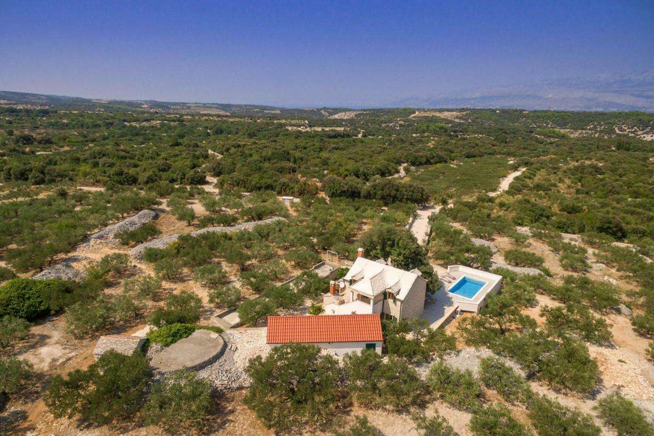 Villa Dubrava Tranquil Retreat Nestled In An Olive Grove For Serene Escapes Pucisca Exterior foto